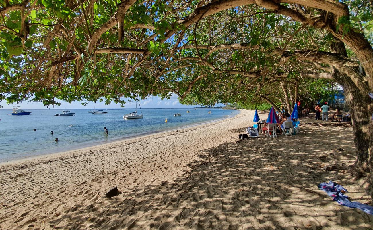 Фото Albion Beach с светлый песок поверхностью