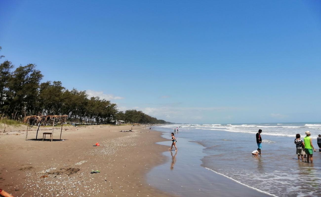 Фото Playa Villamar с светлый песок поверхностью