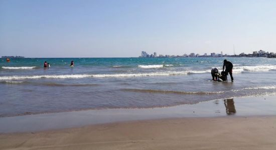 Playa Villa Del Mar