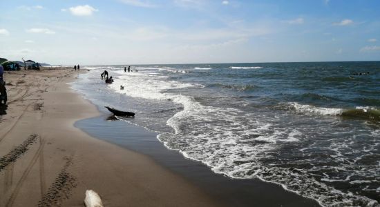 Playa de Alvarado