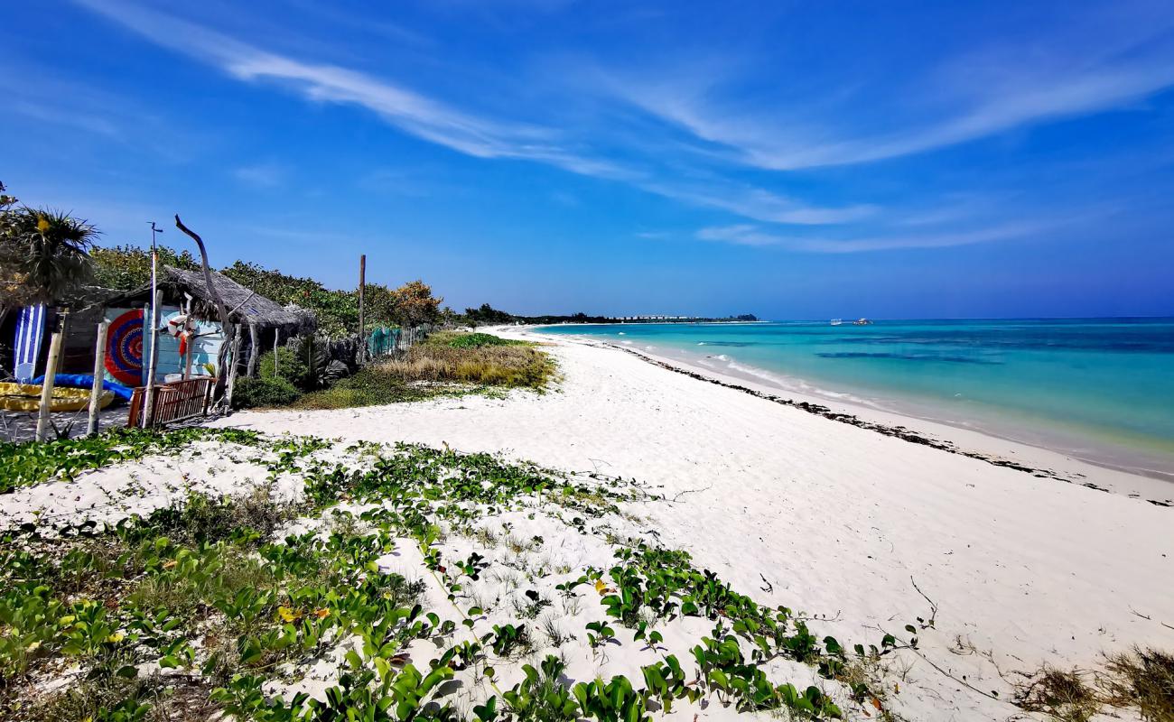 Фото Playa Punta Esmeralda с золотистый песок поверхностью