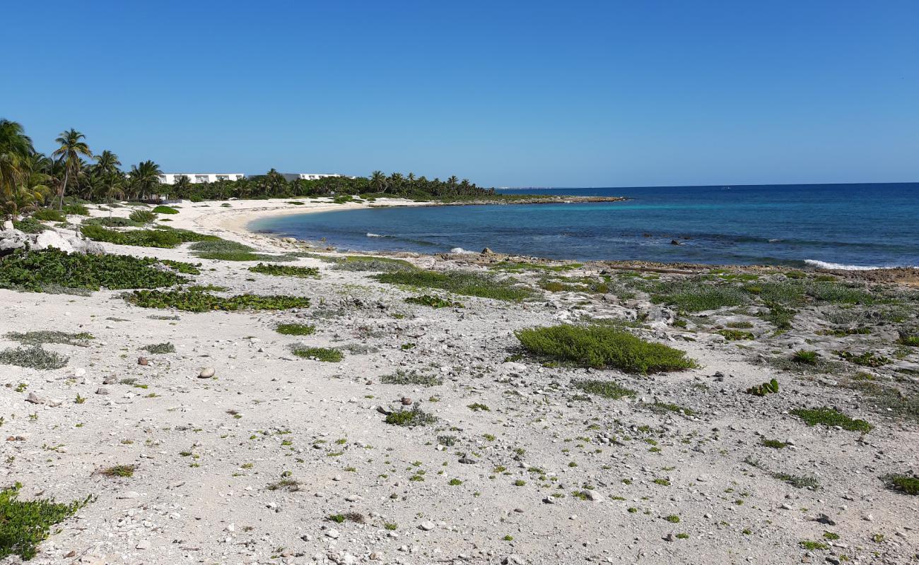 Фото Santa Martha beach с светлый песок поверхностью