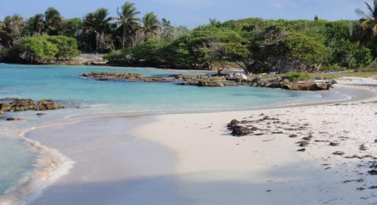 Akumal bay beach