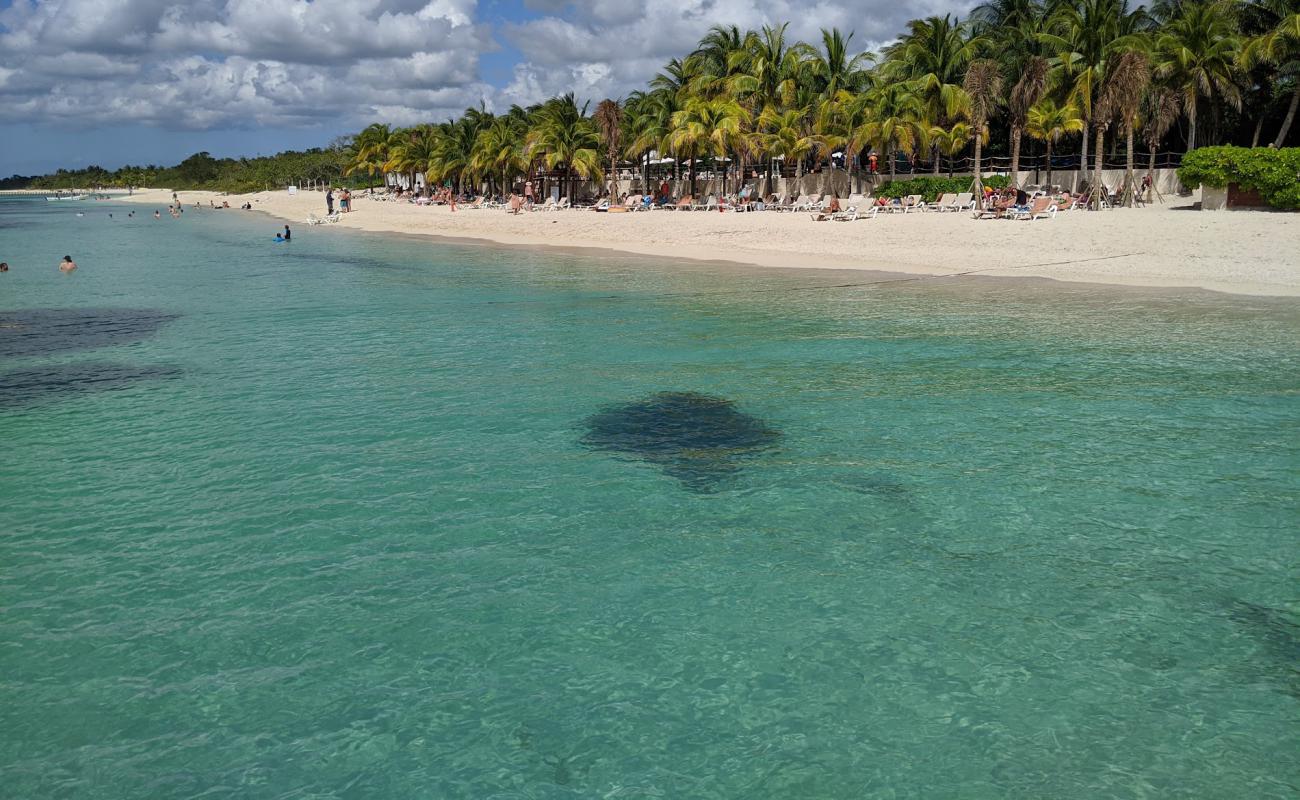 Фото Occidental Cozumel с золотистый песок поверхностью