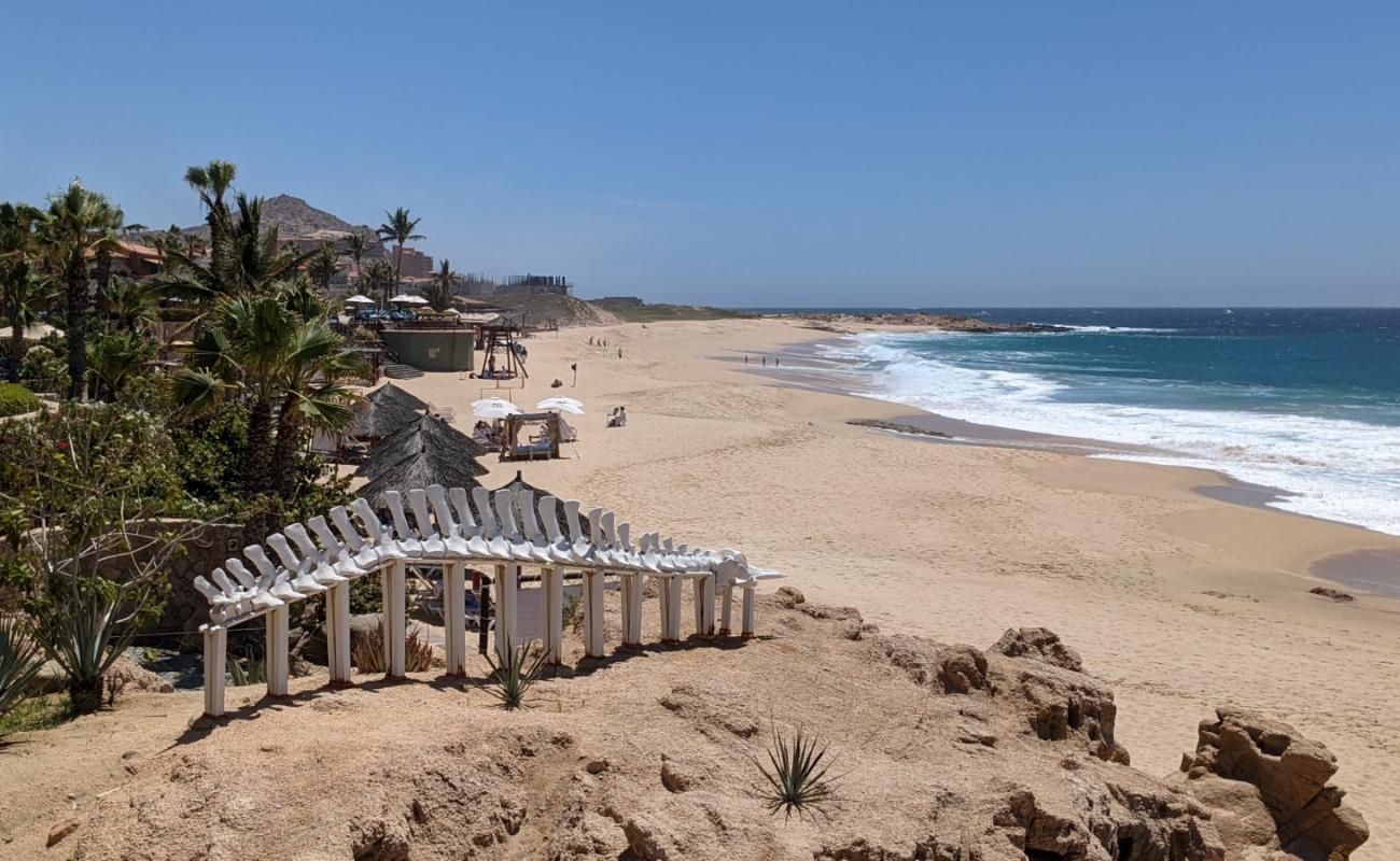 Фото Playa Sheraton los Cabos с золотистый песок поверхностью