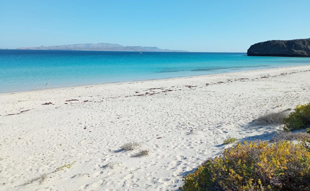 Фото Playa Escondida с золотистый песок поверхностью