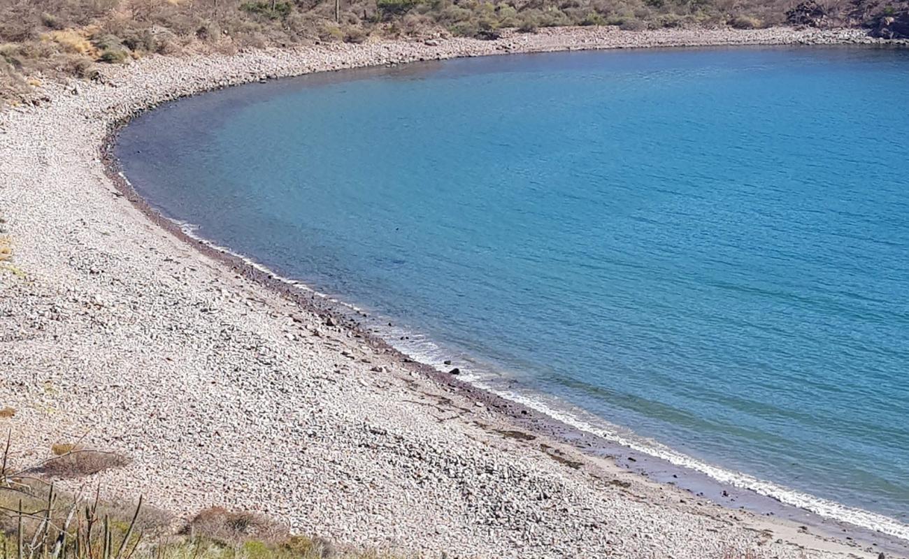 Фото El carricito beach с серая галька поверхностью