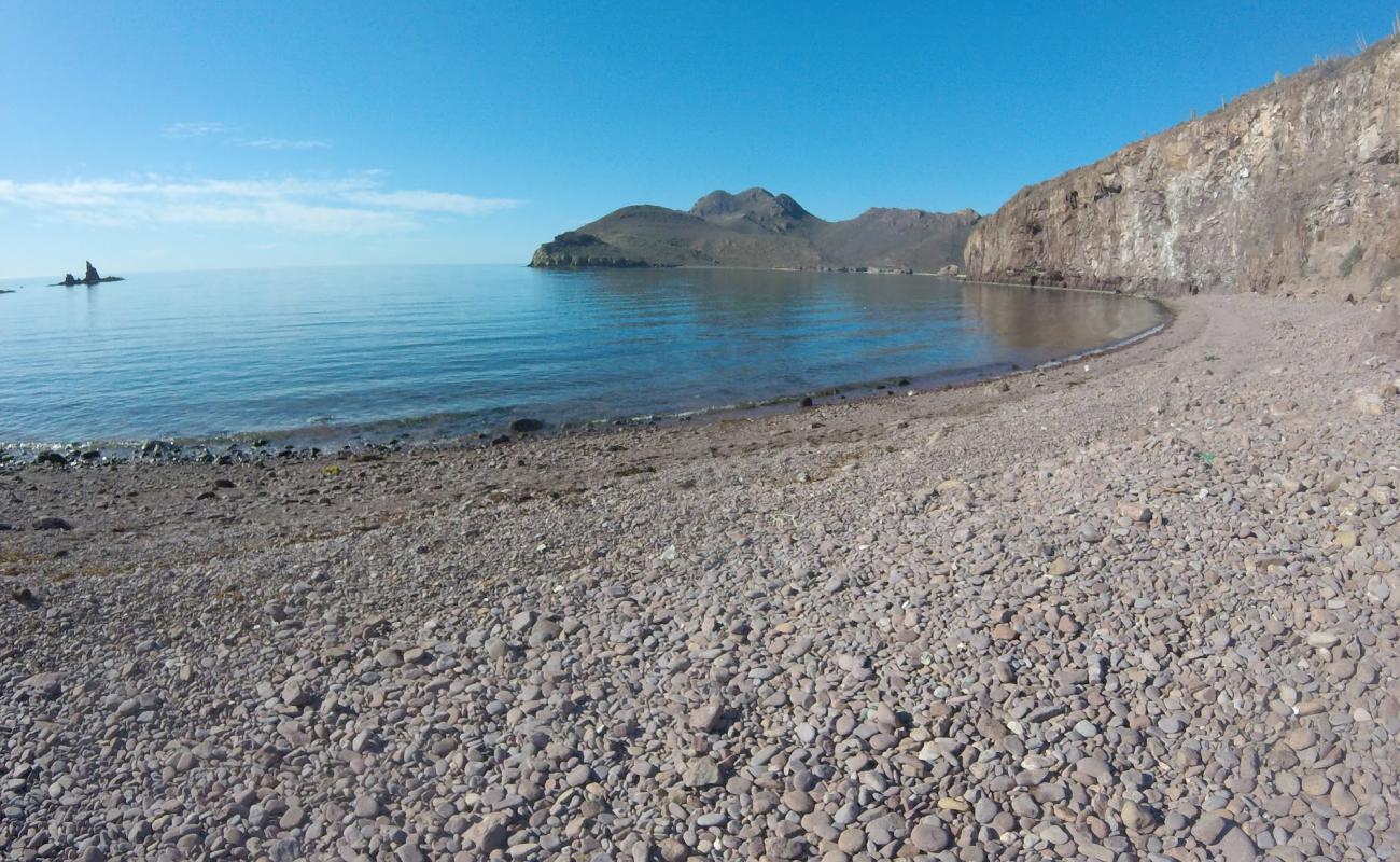 Фото Catalina Bay beach с серая галька поверхностью