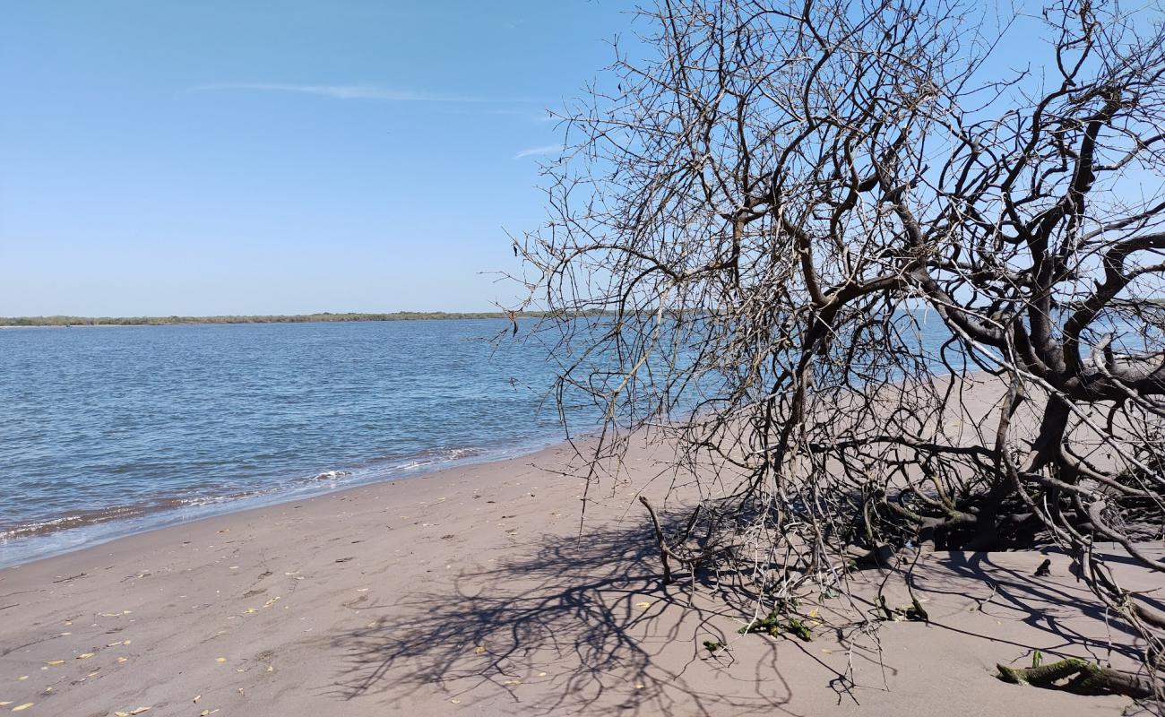 Фото Puerta Palapares beach с светлый песок поверхностью