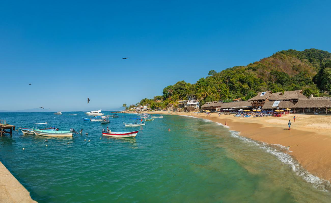 Фото Playa Las Animas с белая чистая галька поверхностью