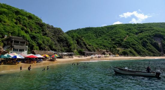 Tehuamixtle beach