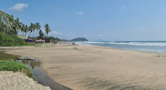 Playa Troncones