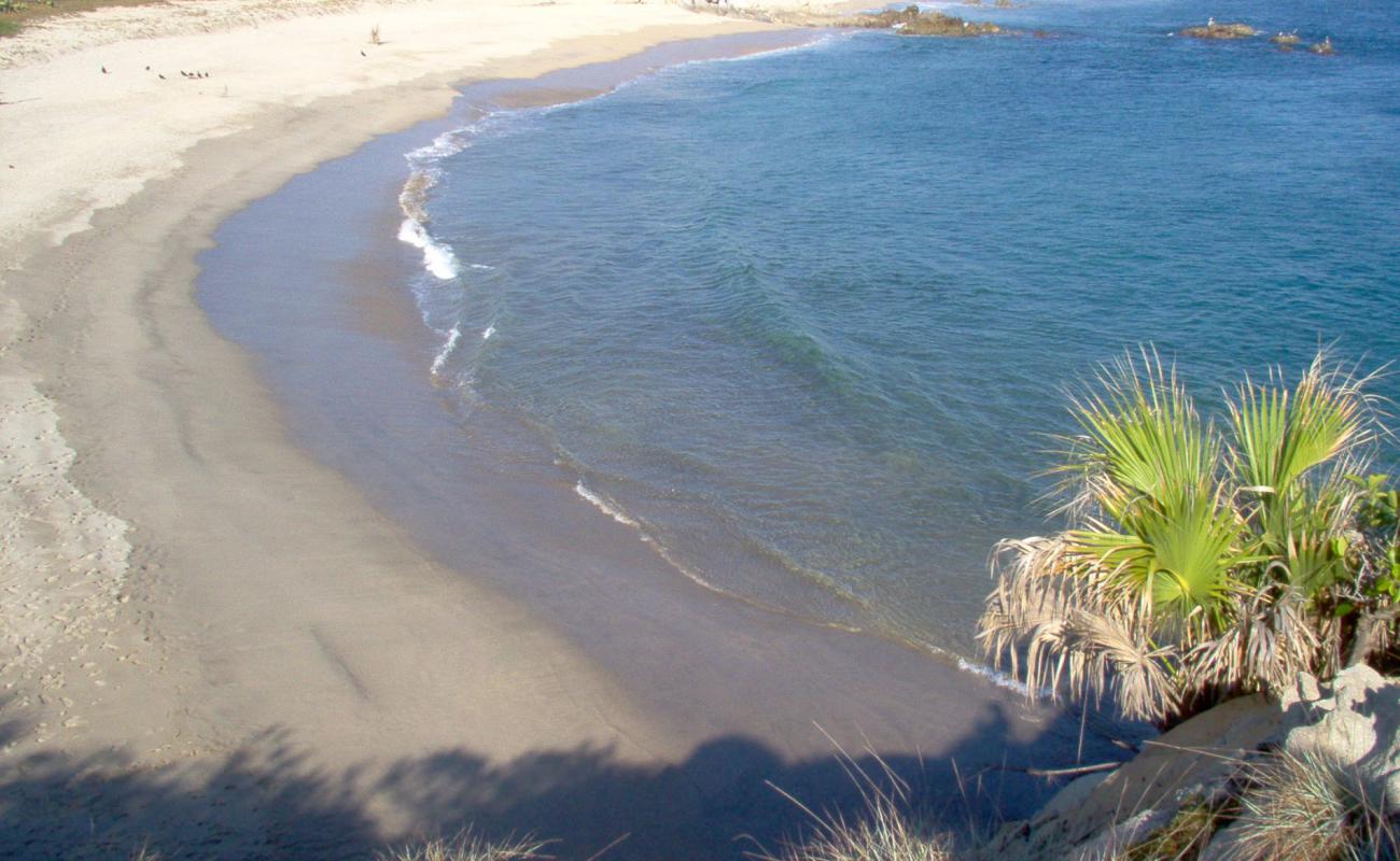 Фото Playa del sur с светлый песок поверхностью