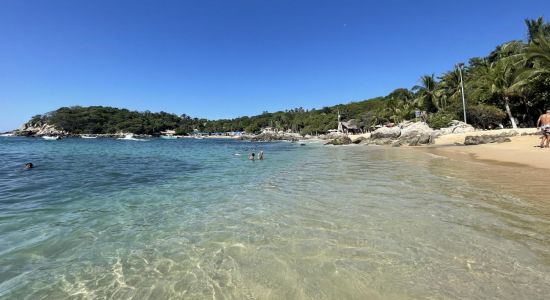 Playa Manzanillo