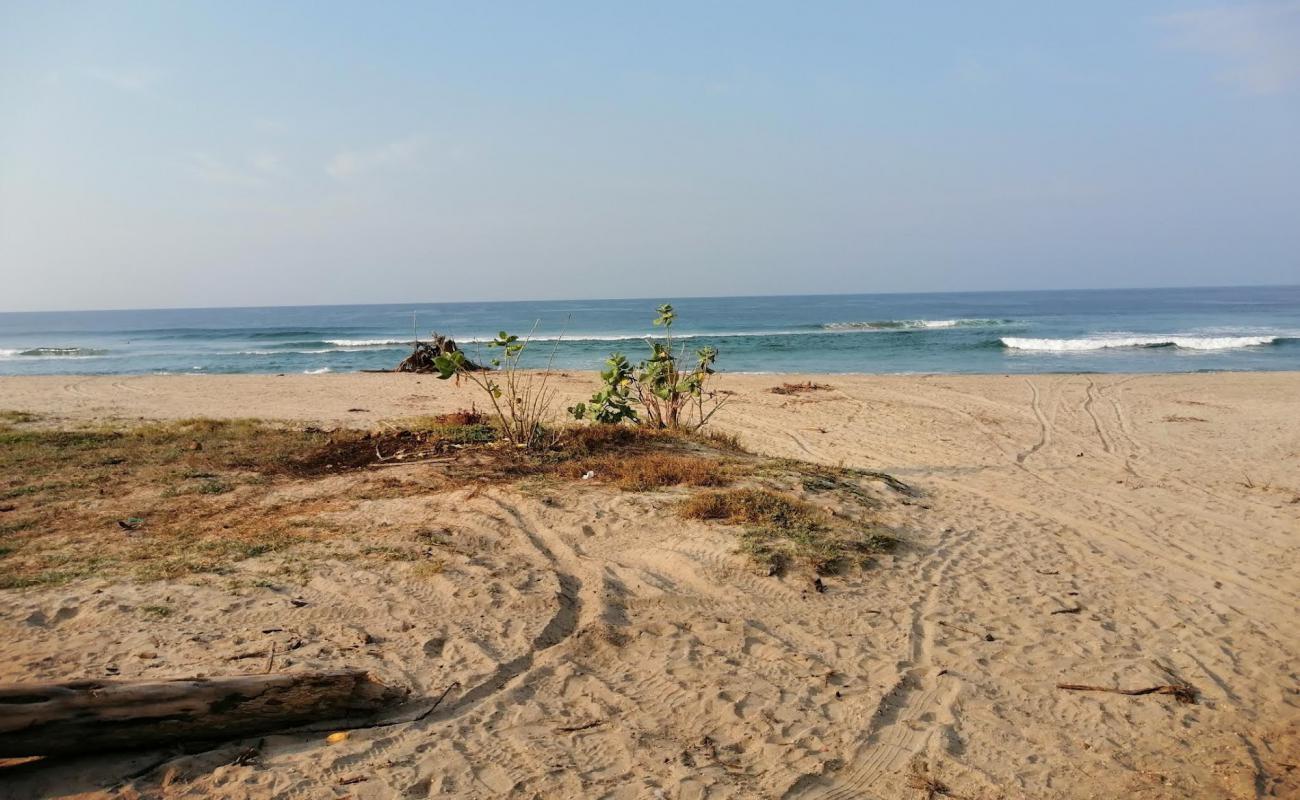 Фото Playa Los Naranjos с золотистый песок поверхностью