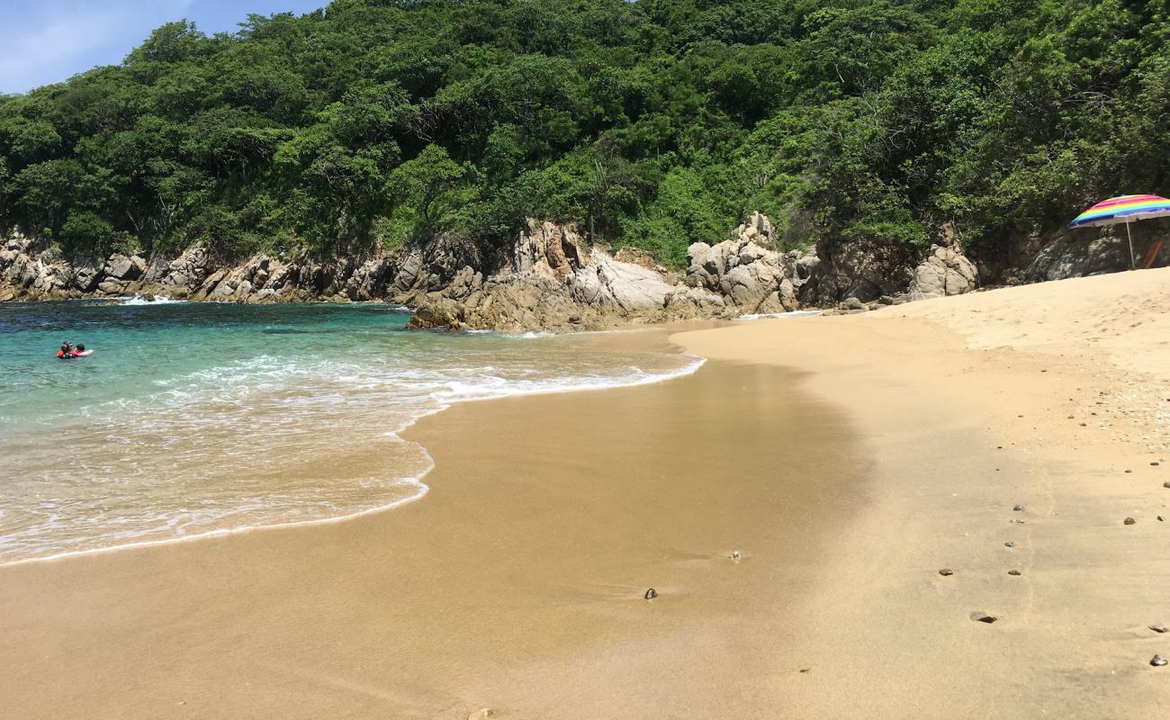 Фото Violin Huatulco beach с светлый песок поверхностью