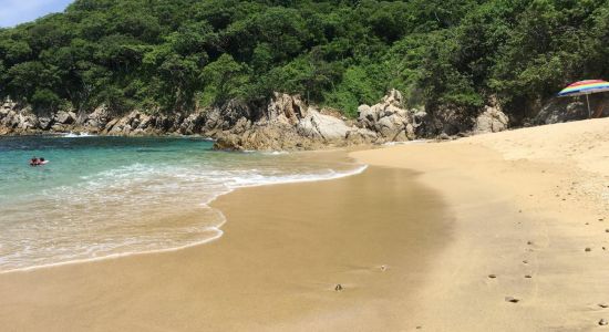 Violin Huatulco beach