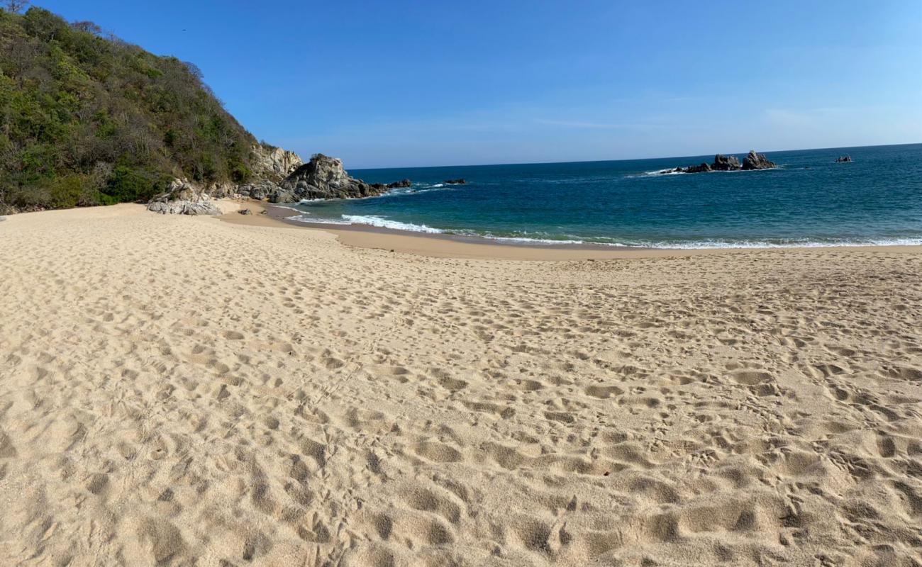 Фото Punta Arena beach с золотистый песок поверхностью