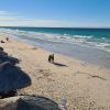 Playa El Tecolote