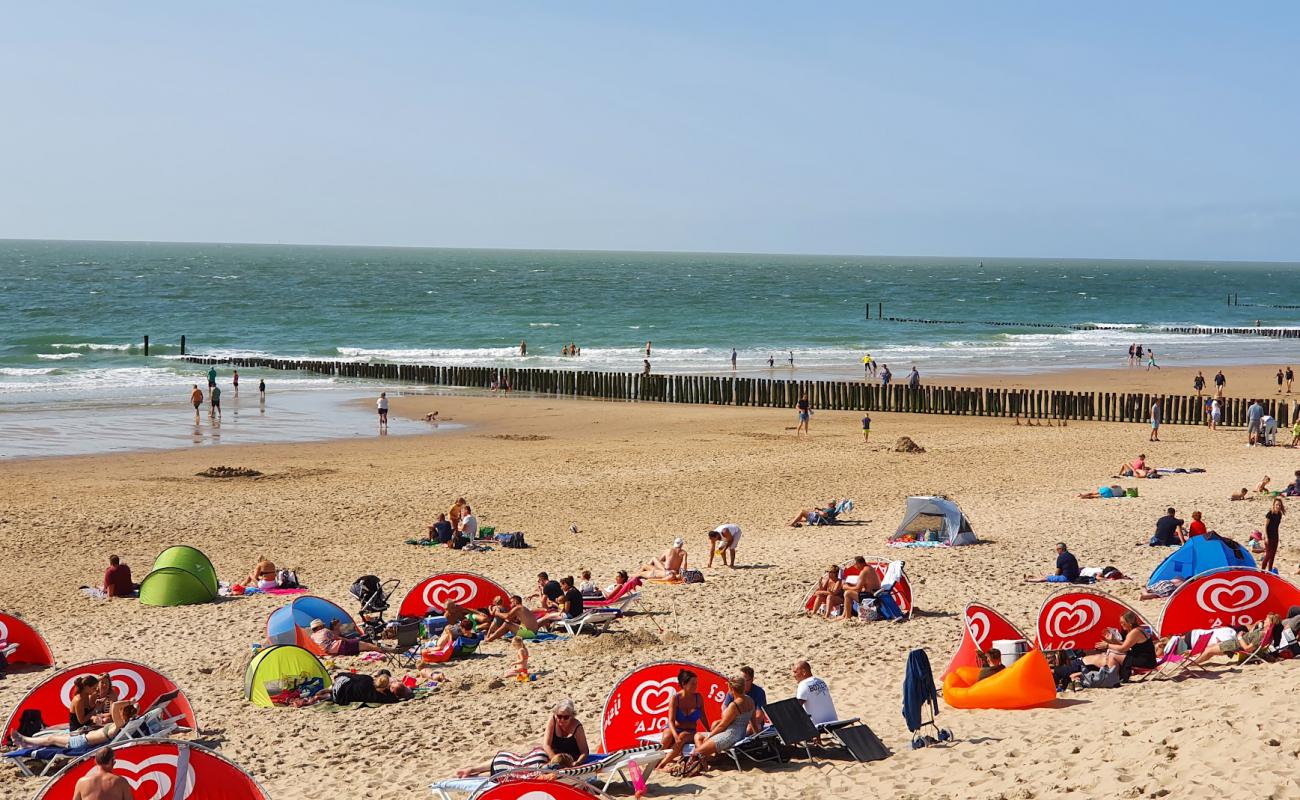 Фото Zoutelande beach II с светлый песок поверхностью