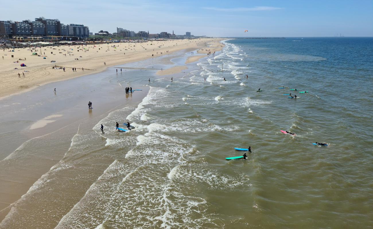 Фото Scheveningen Strand с светлый песок поверхностью