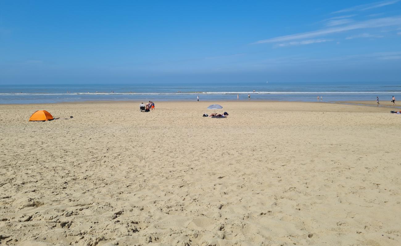 Фото Strand Wassenaarseslag с светлый песок поверхностью