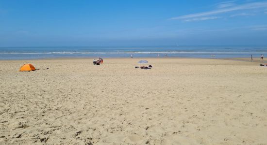 Strand Wassenaarseslag