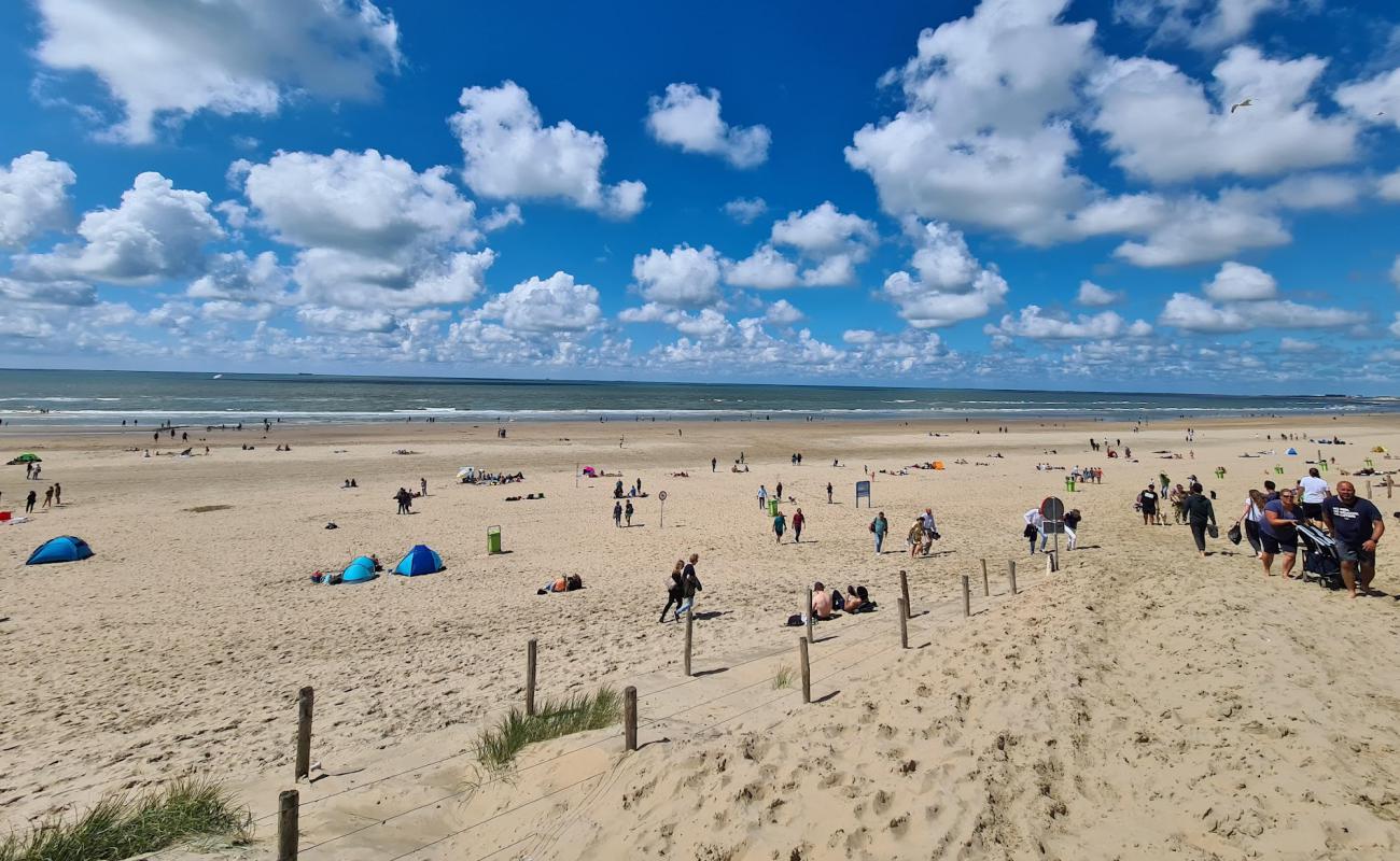 Фото Parnassia aan Zee с светлый песок поверхностью