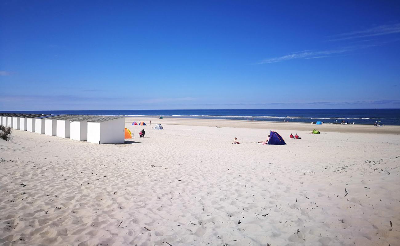 Фото Texel Duinen с светлый песок поверхностью