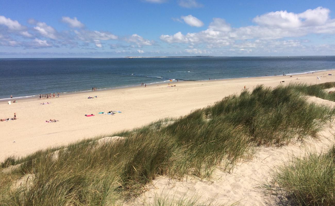 Фото Vlieland beach с светлый песок поверхностью