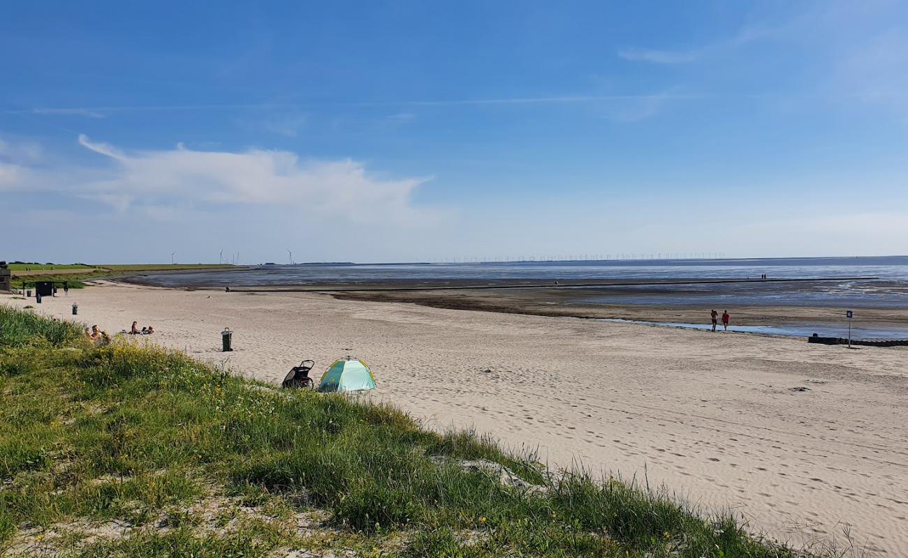 Фото Strand Harlingen с светлый песок поверхностью