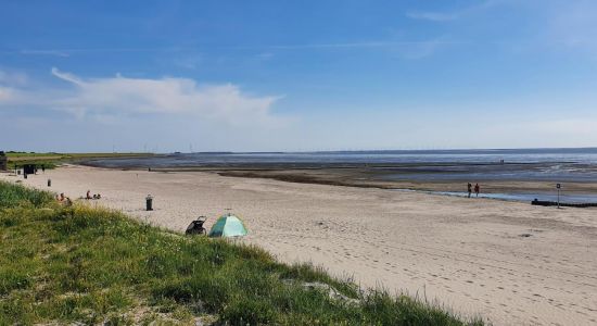 Strand Harlingen