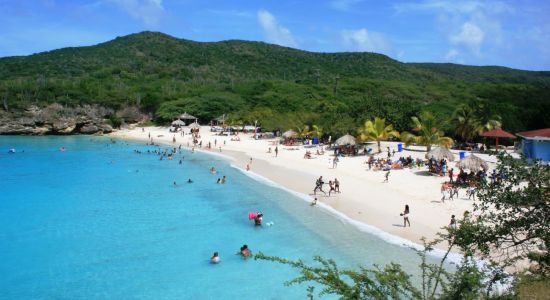 Strand Grote Knip