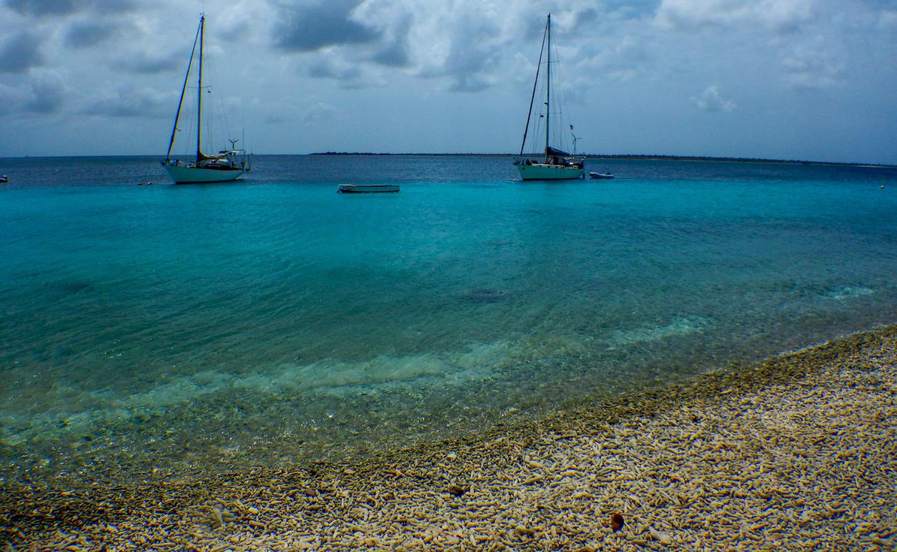 Фото Vakantiehuis Pelican Reef с белая чистая галька поверхностью