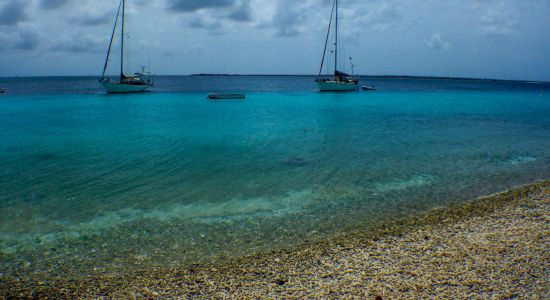 Vakantiehuis Pelican Reef