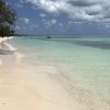 Ouvea Island Beach