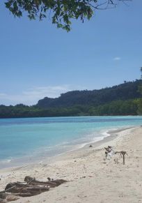 Espiritu Santo island