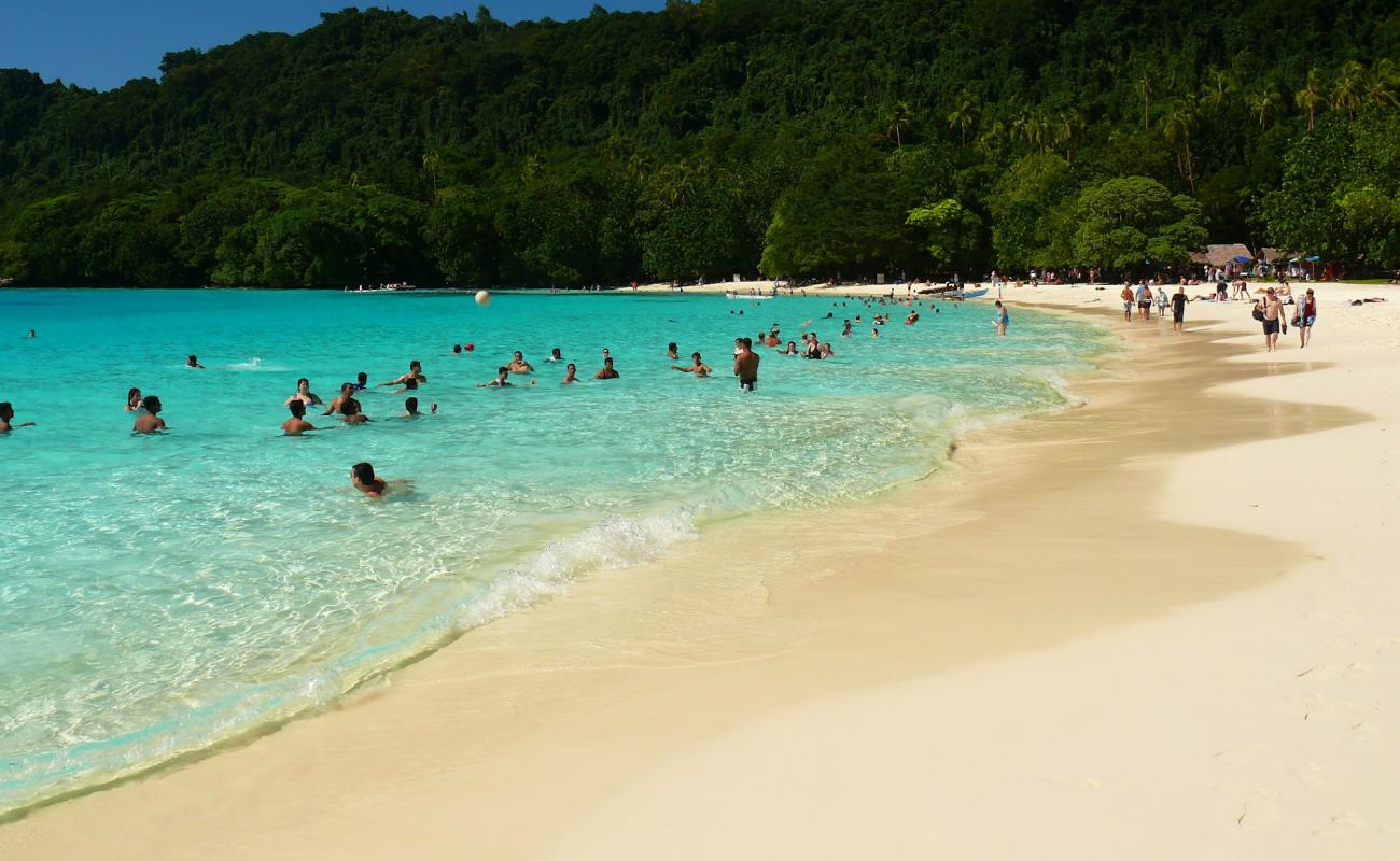 Фото Champagne Beach с белый чистый песок поверхностью