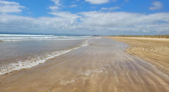 Tokerau beach