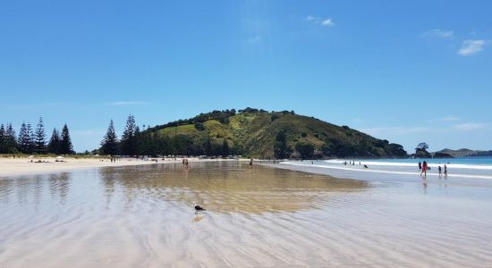 Matauri Bay Beach