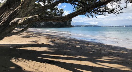 Pohutukawa Bay Beach