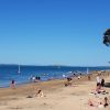 Narrow Neck Beach