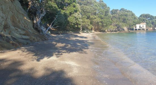 Shelly Reserve Beach