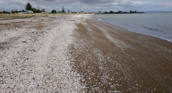 Kuranui Bay