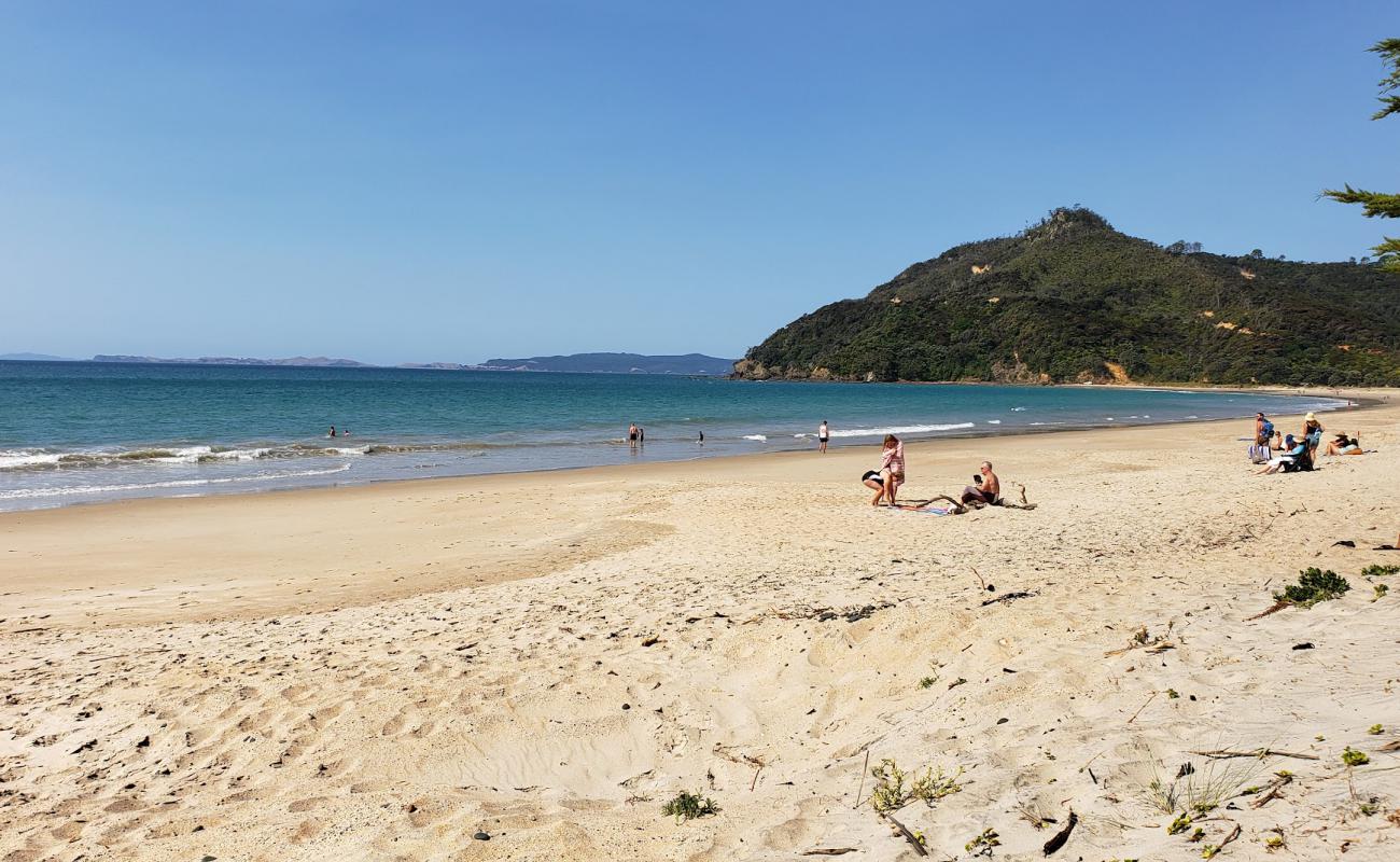 Фото Kuaotunu Beach с светлый песок поверхностью