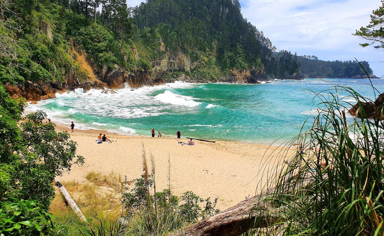 Фото Pokohino Beach с светлый песок поверхностью