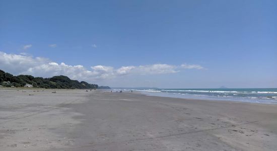 Waiotahe Beach