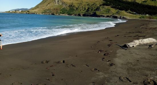 Te Awaiti Beach