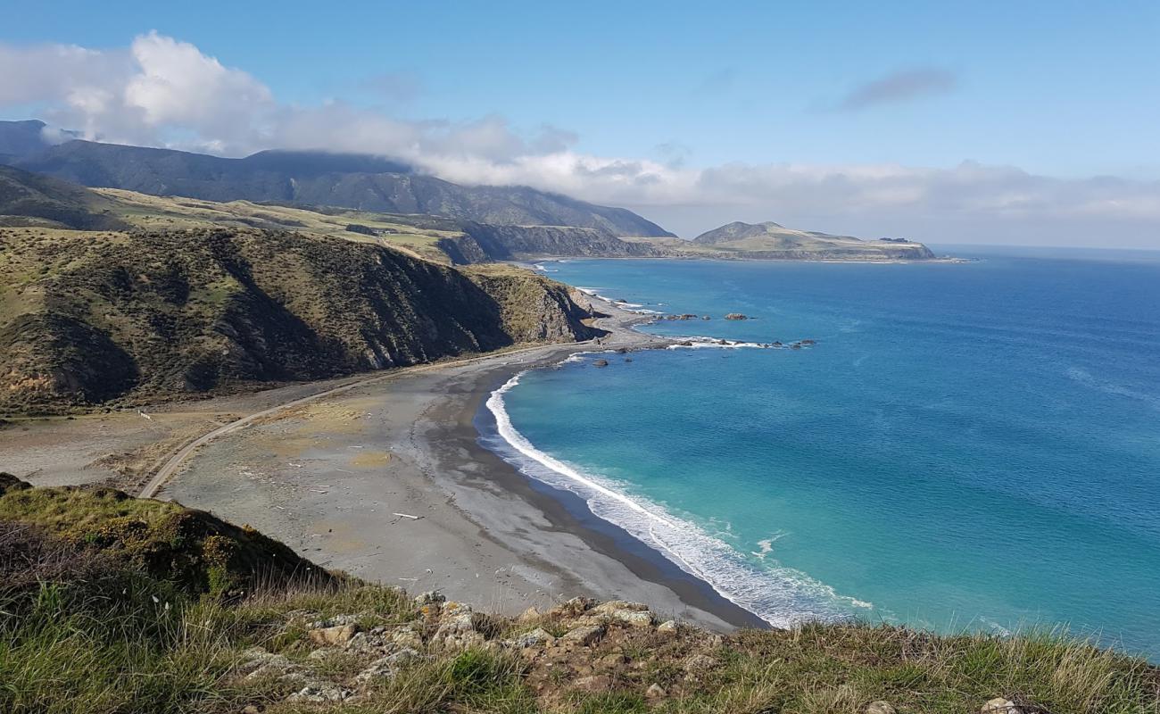 Фото Pencarrow Head Beach с серая галька поверхностью