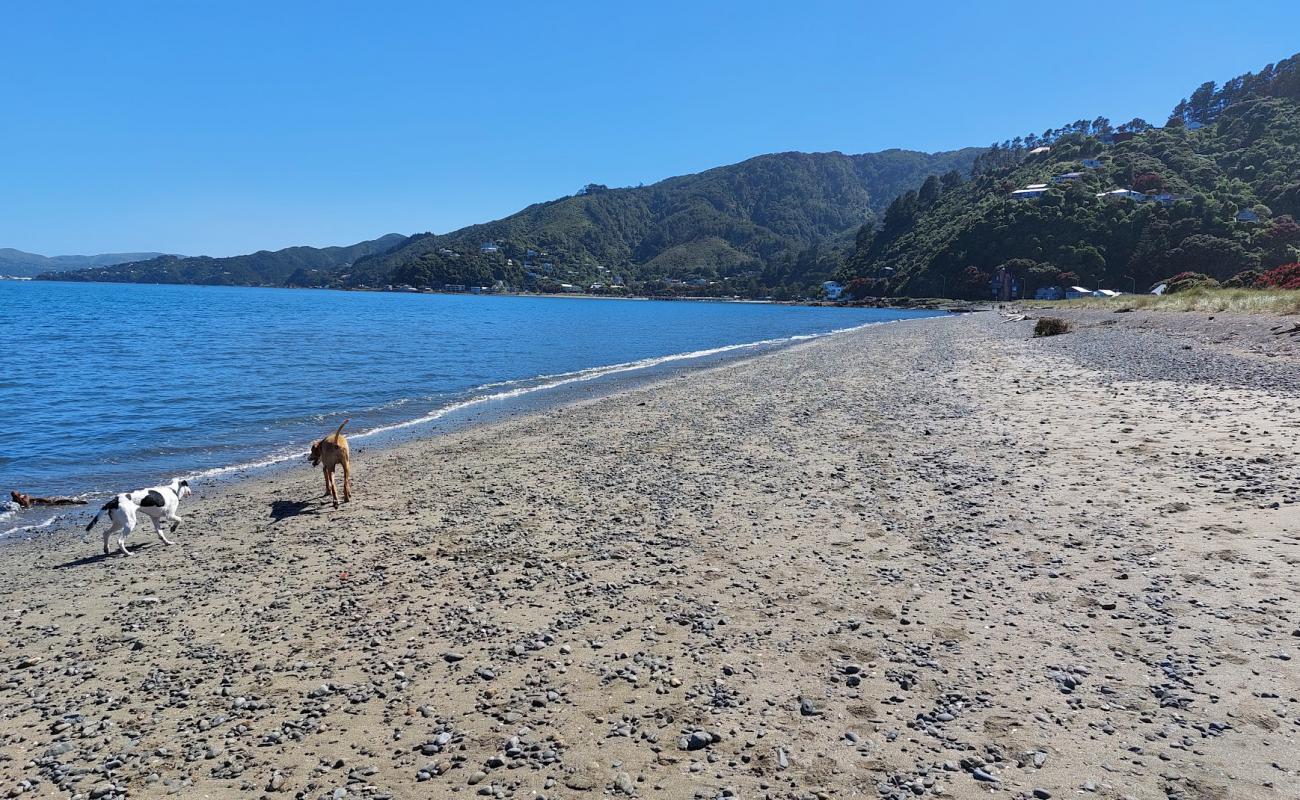 Фото Rona Bay Beach с серая галька поверхностью